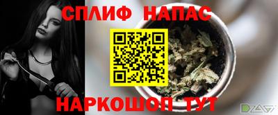 МДПВ Гусев
