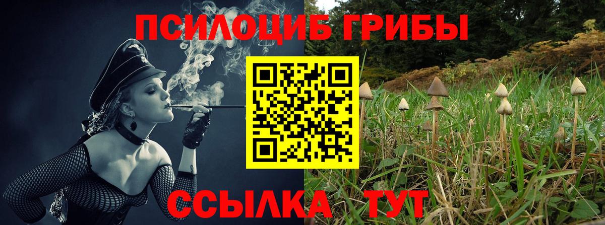 Галлюциногенные грибы GOLDEN TEACHER Москва