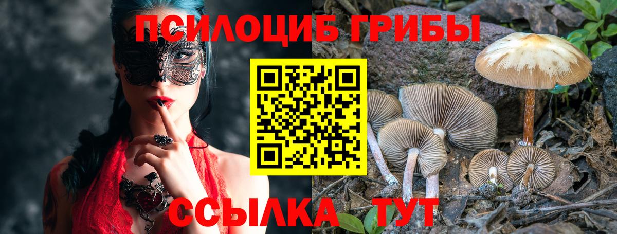 Псилоцибиновые грибы Cubensis  Псилоцибиновые грибы мицелий  Москва  Вход с VPN 