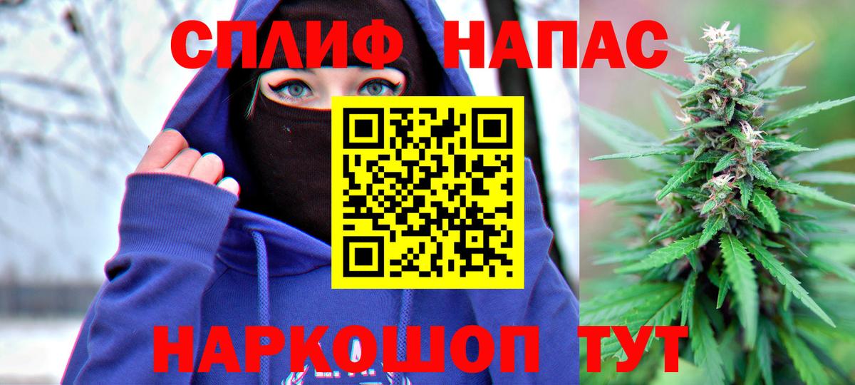Конопля сатива Москва